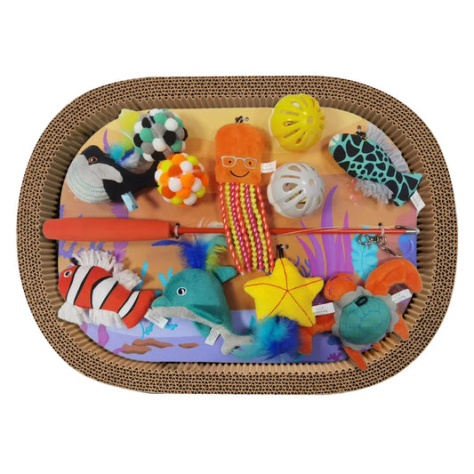 Buddy Buddy Cat Scratcher Bed and Toys, 13-piece Set